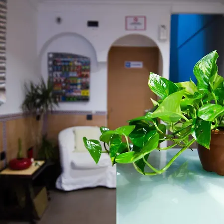 Malaga Hostel *